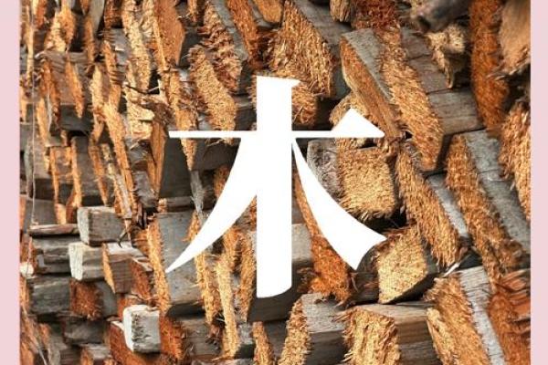 壬午年与命理：探讨木命与土命的奥秘