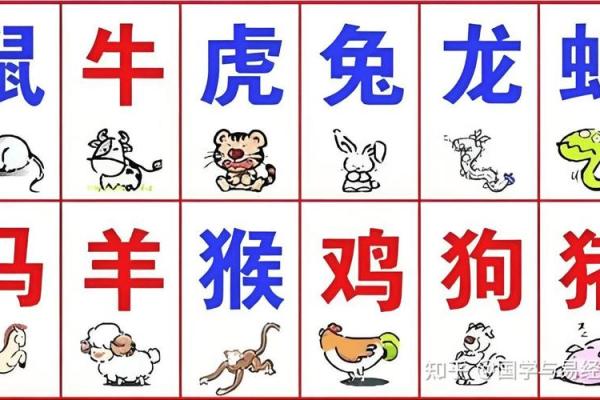 80后生肖运势解析：哪些生肖在命理上更有优势？