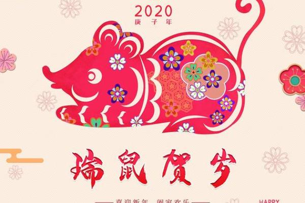 2020年——鼠年命理探秘：是什么让我们在这一年变化万千？