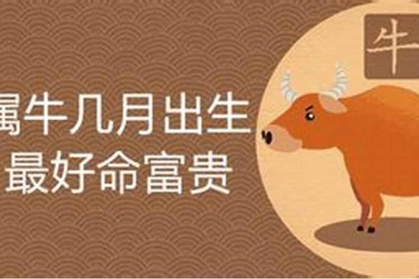 49年属牛男士的命运解析与人生智慧
