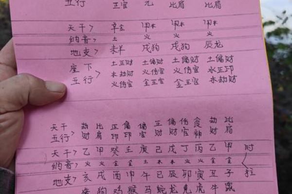 查是什么命？揭秘命运背后的奥秘与象征