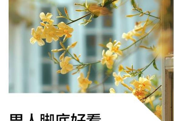 男人看脚型揭示命运的秘密：你的命运藏在脚下！