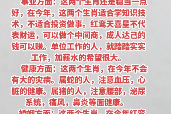 1992年属猪的命运与性格探秘：寻找人生的方向与幸福