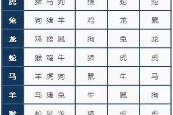 十一岁小孩的属相与命理：探索你的小宇宙