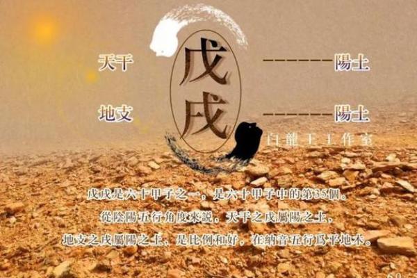 1958年出生的人命运解析与人生智慧分享