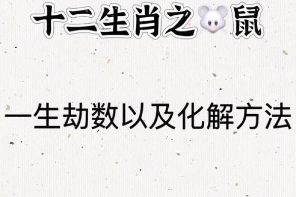 2023年农历生肖鼠：称心如意的命运解析与生活指南