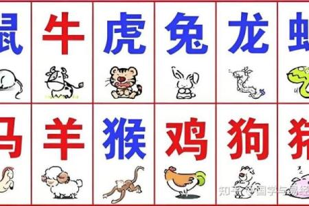 80后生肖运势解析：哪些生肖在命理上更有优势？
