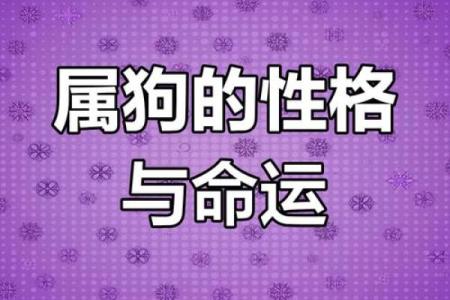 82年属狗：乐观与坚持的命运之旅