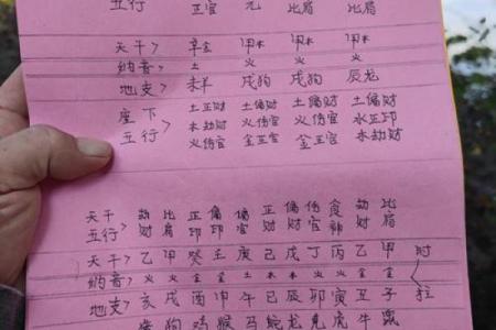 查是什么命？揭秘命运背后的奥秘与象征