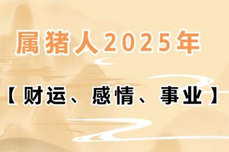 1992年属猪的命运与性格探秘：寻找人生的方向与幸福