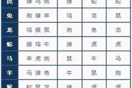 十一岁小孩的属相与命理：探索你的小宇宙