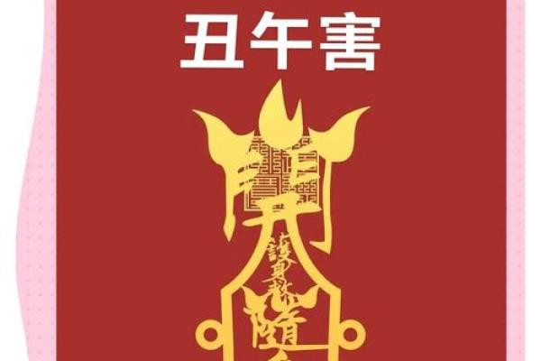 2002年2.3是什么命？探究命理之深邃与魅力
