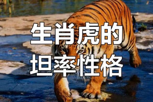 2010年的生肖命运分析：探寻属虎的幸运与挑战