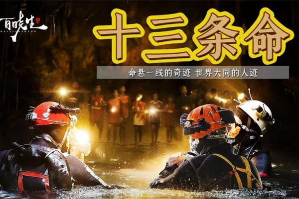 《十三条命》：勇气与希望交织的真实救援故事
