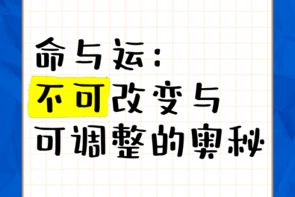 天生注定：如何通过命理测试揭示你的命运之路