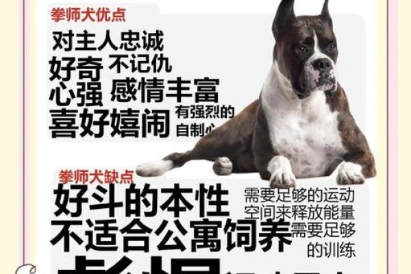 1994年出生的狗，命运与方位的奥秘探索