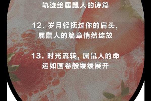 2020年属鼠人的命运与缺失分析：如何扬长避短，开创未来！