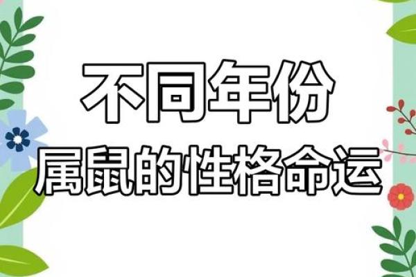 2020年属鼠人的命运与缺失分析：如何扬长避短，开创未来！