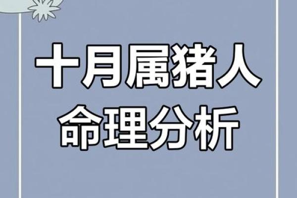 1986属猪的人命运解析：探索他们的生活与性格特征
