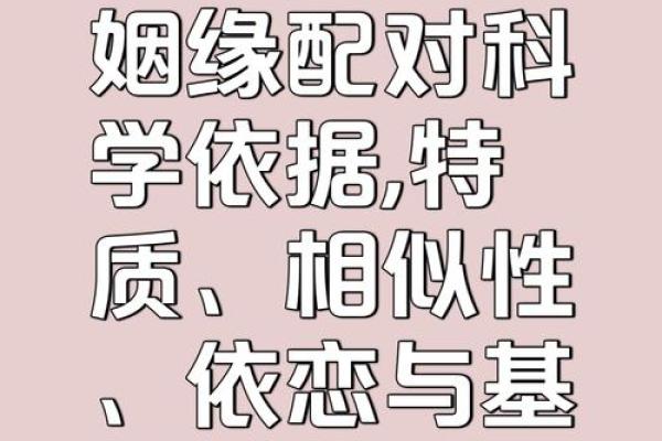 如何判断一个女命能否找到有能力的丈夫？探秘命理与姻缘的奥秘