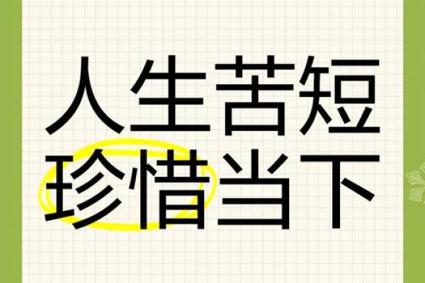 珍惜当下，活出最好的自己——关于“命”的经典语录解读