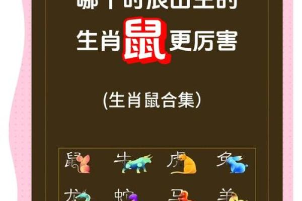 2008年鼠年命运：智慧灵动与不懈追求的完美结合