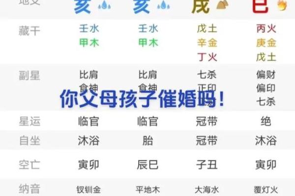 揭秘八字命理：甲子、甲戌、辛丑和己丑的命运分析