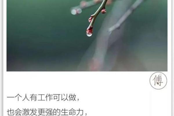 探索“命死了”的深刻含义与人生的哲学思考
