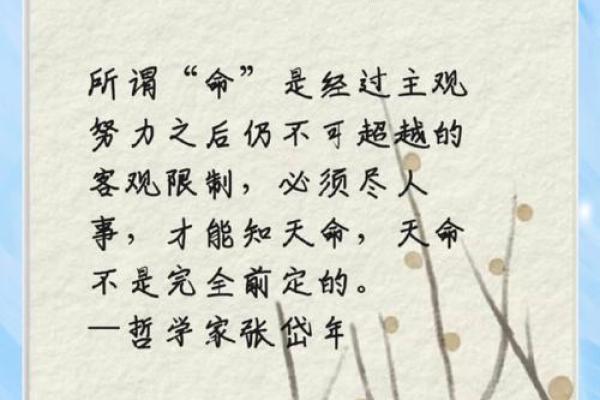 探索“命死了”的深刻含义与人生的哲学思考