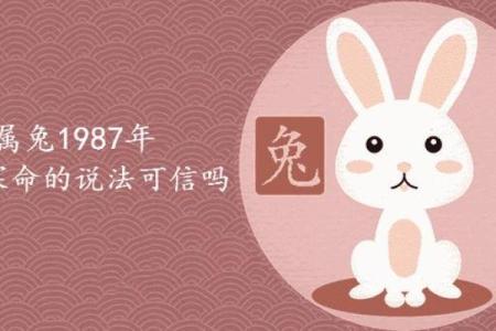 光绪九年（1883年）的命理揭秘：属相与命运的奇妙关系