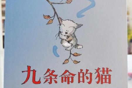 猫咪的神秘传说：为何它们被称为有九条命的动物
