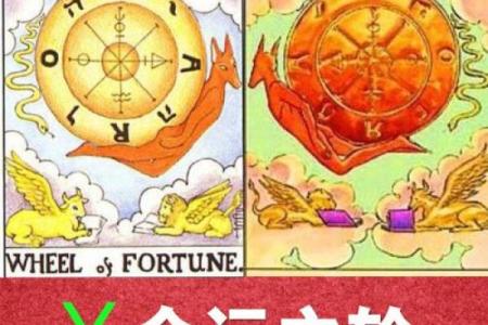 探秘命运之轮：如何免费测算你的命运之道