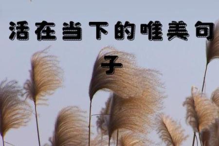 珍惜当下，活出最好的自己——关于“命”的经典语录解读