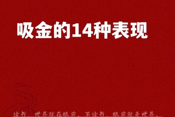 探秘财命与发财命的不同之处：如何获取真正的财富密码？