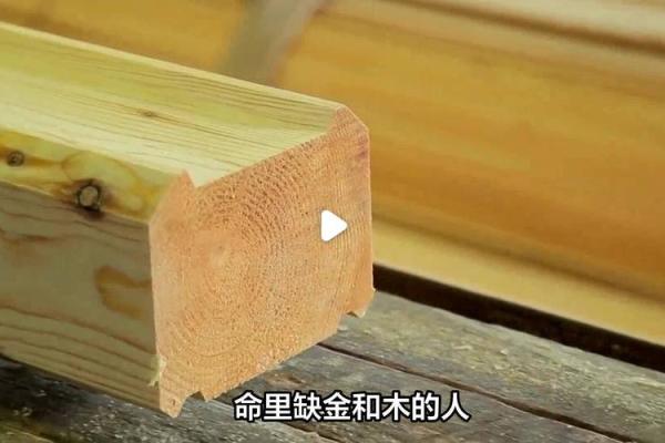 金命人适合从事的流行生意和行业探讨