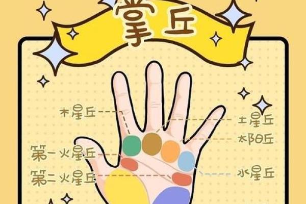 短手指的命运解读：手相学中的秘密与启示