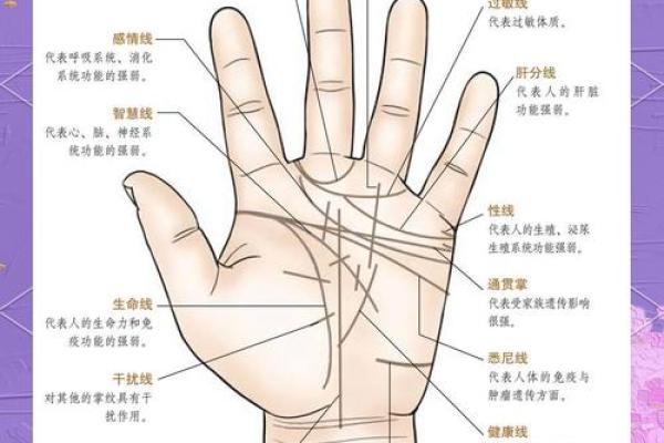 短手指的命运解读：手相学中的秘密与启示