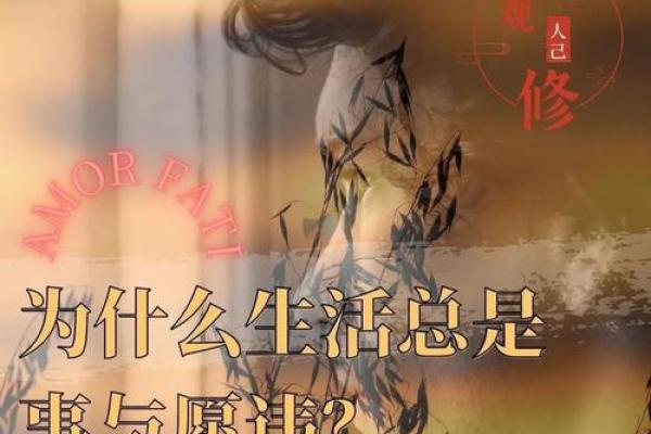 九八零年出生的命运：现代生活中的挑战与机遇