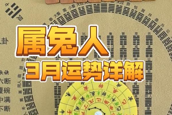 探秘1939年属兔者的命理与人生轨迹