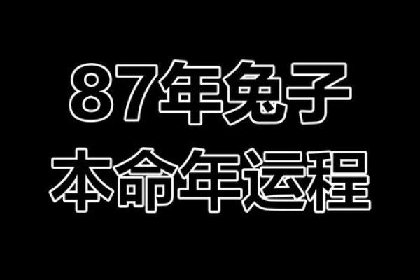 探秘1939年属兔者的命理与人生轨迹