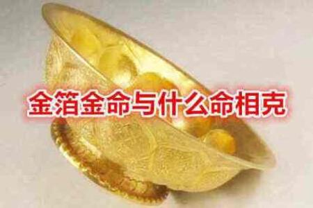 金命人适合从事的流行生意和行业探讨