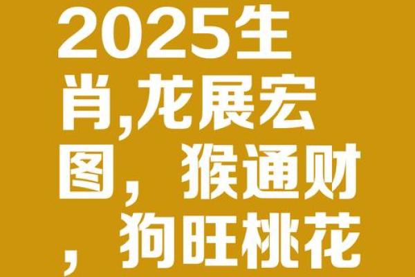 2023年禄马奔腾，生肖龙的魅力与运势解析