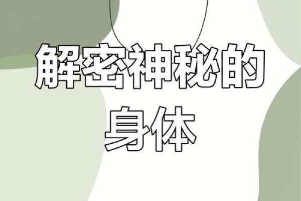 探秘身体的多命：如何理解身体与灵魂的深度联系与和谐