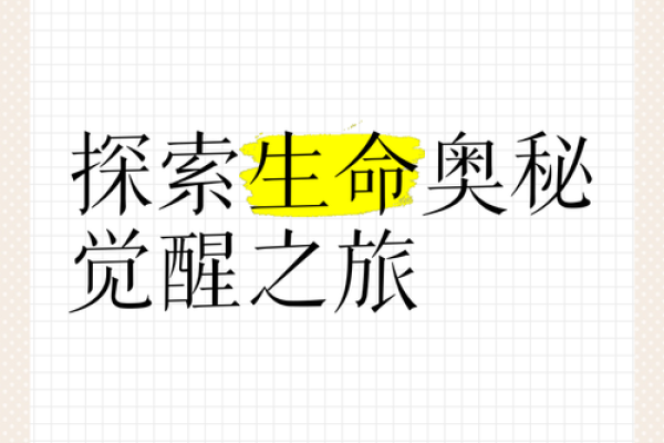 探寻八字中的“命”：生命的奥秘与自我发现之旅