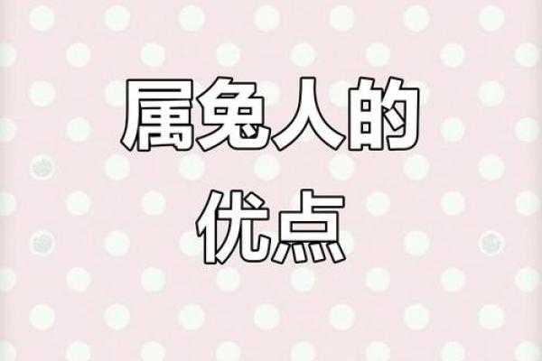 属兔1951的命运与性格分析：勇敢而灵敏的人生之旅