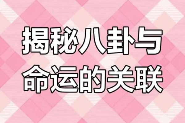 探究命理中的“命”：定义与深意，带你了解天命背后的奥秘