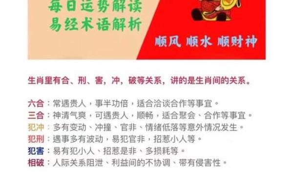 深入了解鼠金命：最佳佩戴物品与风水建议