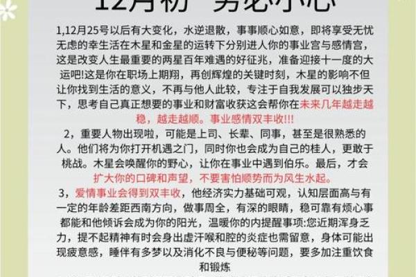 72年出生的鼠命人生解析：机智与灵活的命运之旅