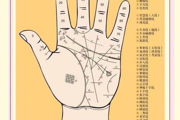 通过手算解析你的命格，揭示命运的秘密！
