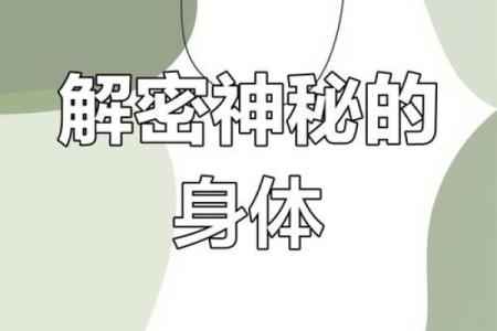 探秘身体的多命：如何理解身体与灵魂的深度联系与和谐